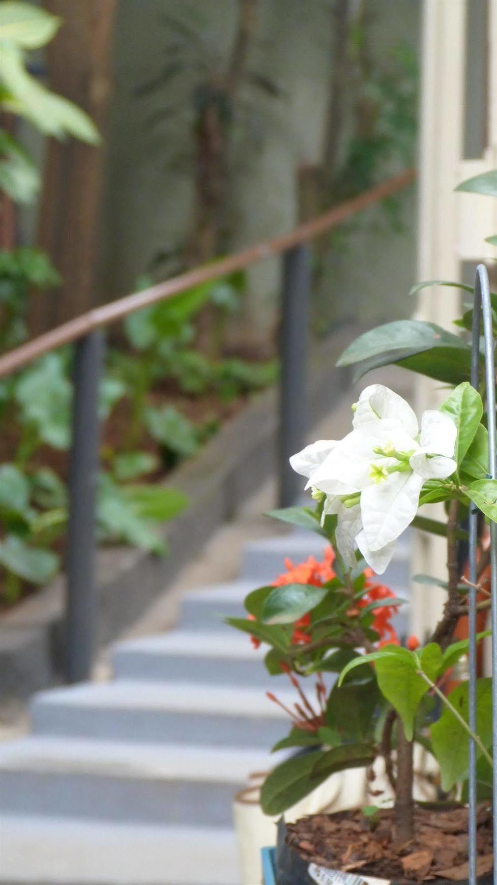 Olah Hostel - Vila Mariana São Paulo Buitenkant foto